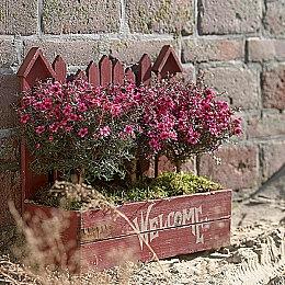 PS发布会：猫咪斗恶龙新作明年发售