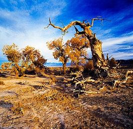 TGA 2022：《战神：诸神黄昏》奎爷配音演员获最佳演出 